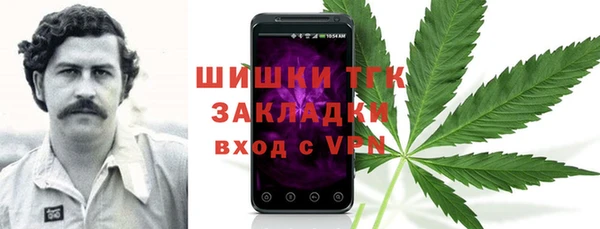2c-b Белокуриха