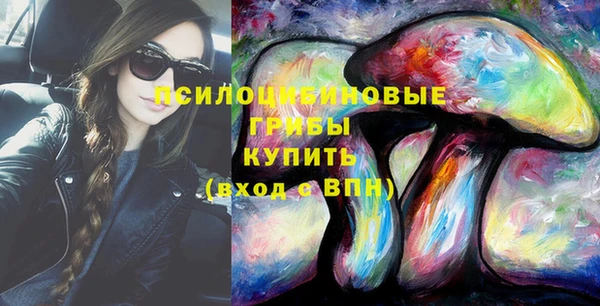 крисы Белоозёрский