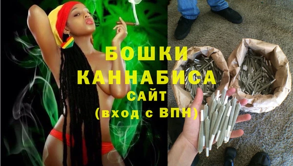 2c-b Белокуриха