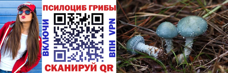 Псилоцибиновые грибы мухоморы  Кунгур 